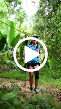 BIB:  <button type="button" onclick="openModal(26823257)" class="btn btn-primary btn-sm float-right" data-toggle="modal" data-target=".modal-high-quality">
                <i class="fa fa-download"></i> Download
                </button>